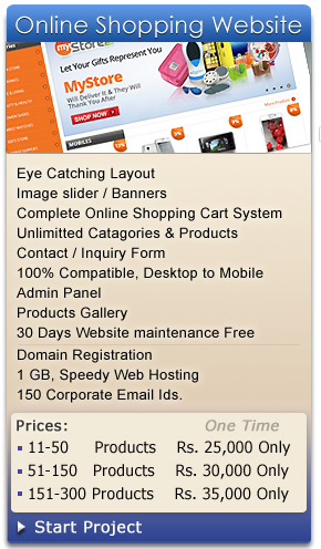 Online Shopping Website Designer